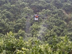 林业病虫害无公害防治的2个重要意义