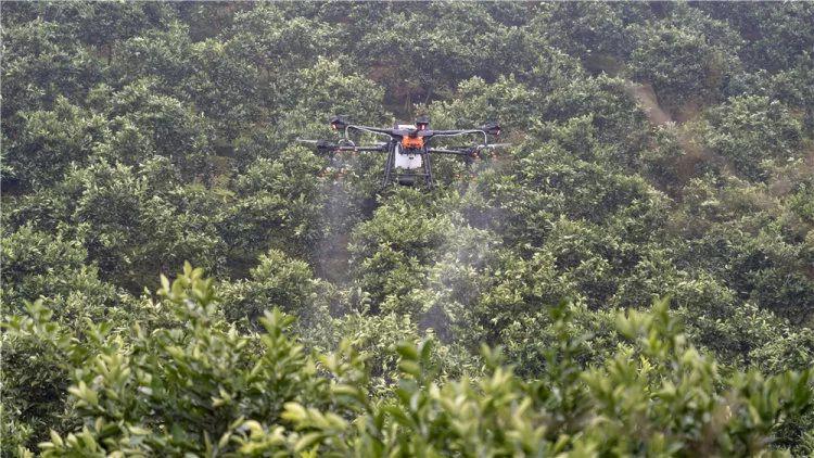 林业病虫害无公害防治的2个重要意义