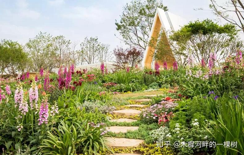 花境植物与色彩搭配示例