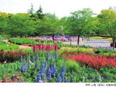 2020年上海国际花展在植物园举办：羽扇豆绣球双主题花与新优园艺技术