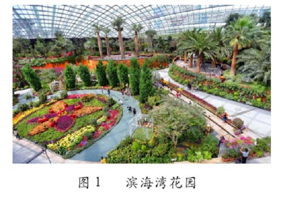 公园景观植物配置实景图