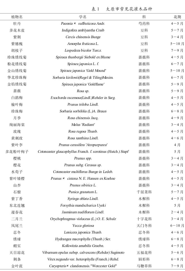 太原市常见花灌木品种名录表