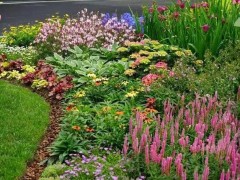 北方城市园林长效低维护花境营造设计原则、植物选择与季相造景