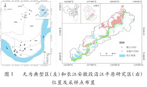无为沿江平原典型区采样点分布图