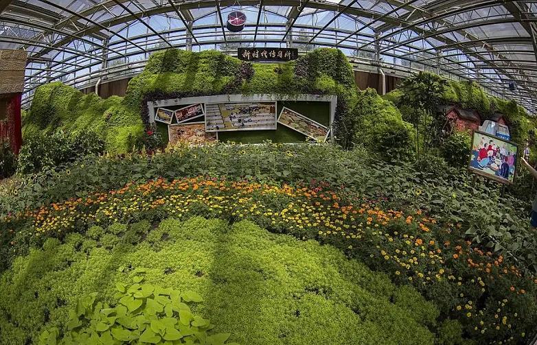 生态农业休闲园植物景观实拍，展示田园野趣与自然群落关系