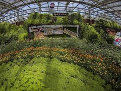 如何通过植物设计提升农场价值？生态农业园农旅融合景观模式解析