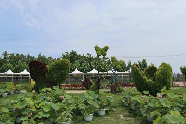 农业休闲园科学植物配置示例图