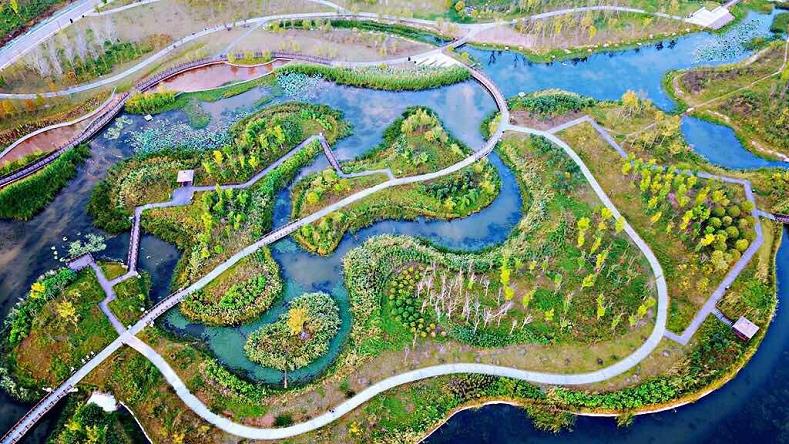 湿地公园综合效益展示图