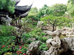 中国传统吉祥植物视角下的士人园林隐逸文化研究 | 拙政园与古典造园解析