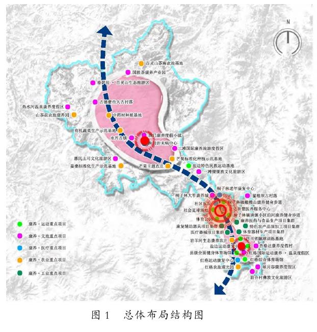 盐边县康养产业&ldquo;一心&middot;一轴&middot;两区&middot;多点&rdquo;空间布局图
