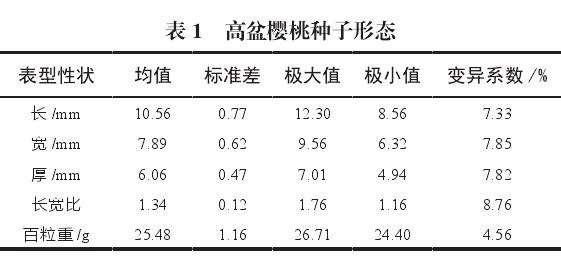 高盆樱桃种子形态指标测定