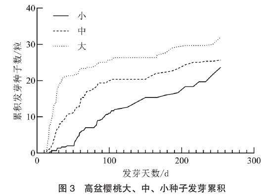高盆樱桃不同规格种子萌发率动态
