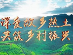 乡村美育景观营造策略：破解乡村振兴中的同质化僵局与乡土审美重塑指南