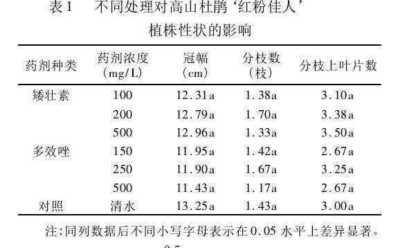 药剂处理对杜鹃冠幅及分枝数影响数据表