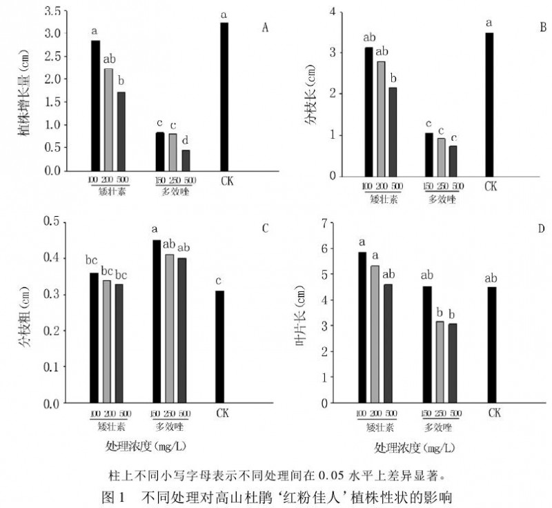 药剂处理对杜鹃增长量及分枝长度等指标的影响柱状图