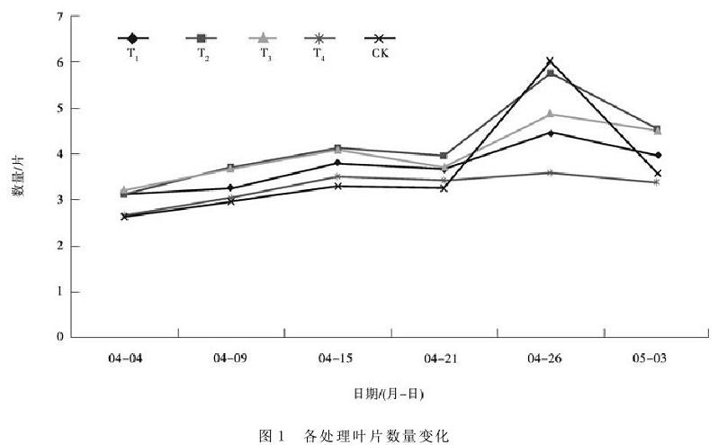 草莓叶片数随时间变化增长曲线图