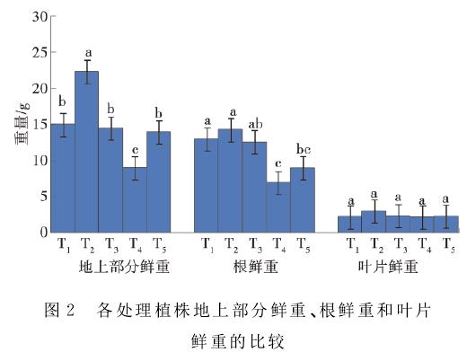 草莓植株鲜重比较柱状图