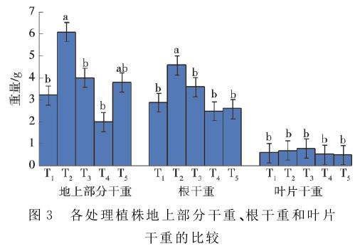 草莓植株干重比较柱状图
