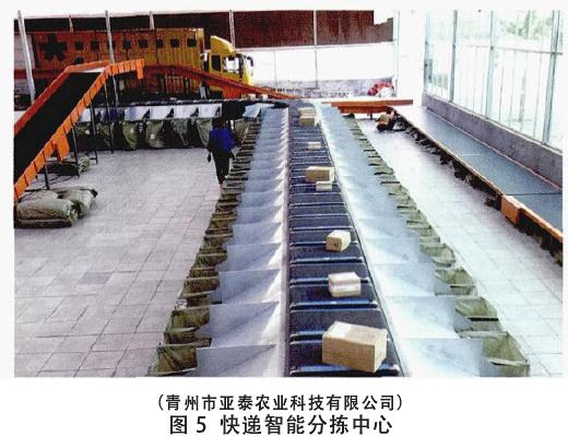 现代盆栽花卉线上线下结合的销售模式与快递物流体系