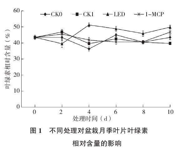 不同处理对盆栽月季叶绿素相对含量的影响
