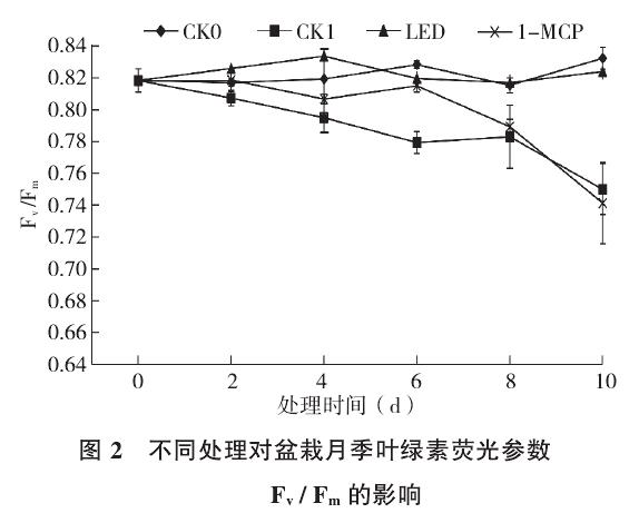 不同处理对盆栽月季叶绿素荧光参数Fv/Fm的影响