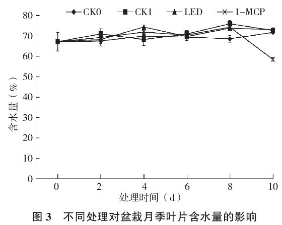 不同处理对盆栽月季叶片含水量的影响