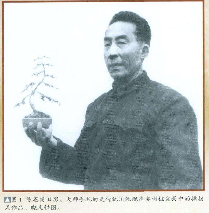川派盆景一代宗师陈思甫肖像