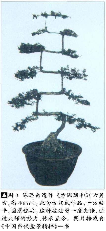 陈思甫方拐作品《方圆随和》