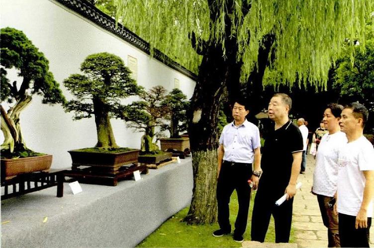 庆祝中国成立100周年暨浙江省名人名家盆景作品展开幕式现场
