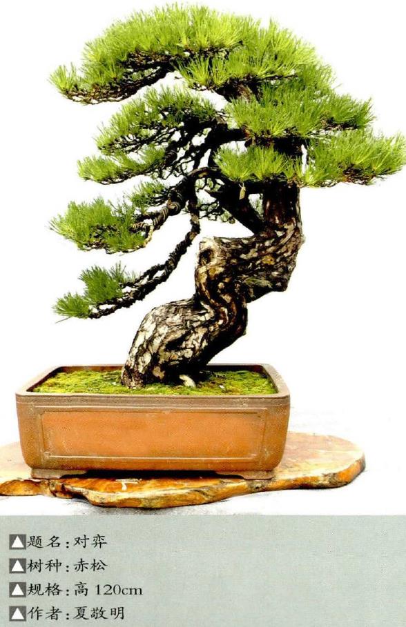 展览领导共同推杆启动展览