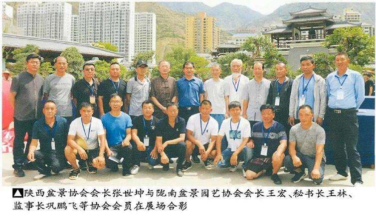 陇南首届盆景展现场，市民参观盆景作品