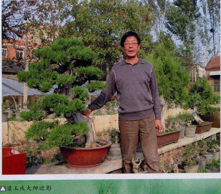 中国盆景艺术大师梁玉庆先生肖像或工作照，背景为樵园盆景园