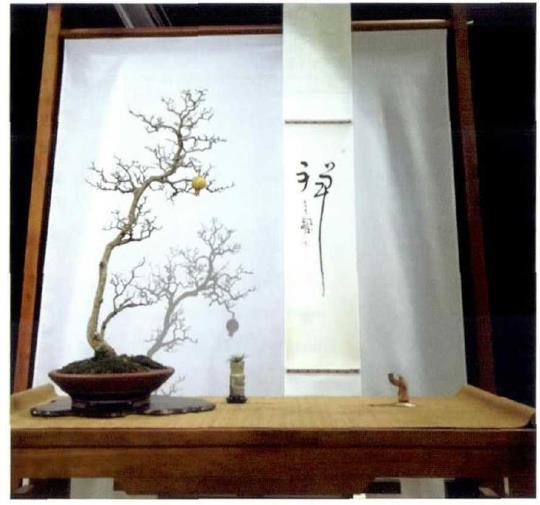 李飘先生谈盆景《些园只影》的制作