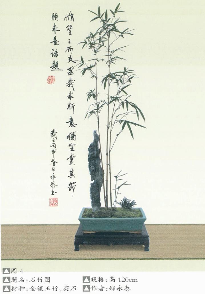 竹草盆景创作示例图