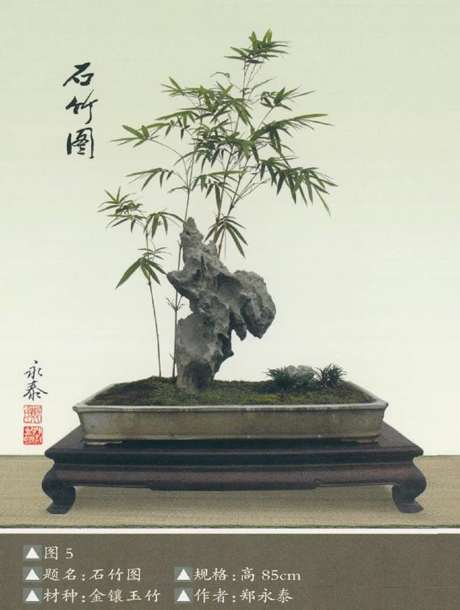 竹草盆景创作示例图