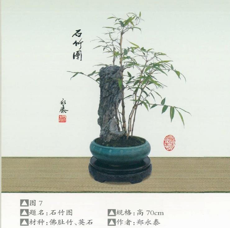 郑老谈竹草盆景的创作方法 图片