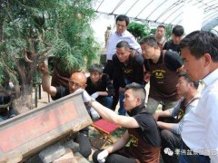 逸园盆景丝雕培训班第7期招生！李伟老师亲自一对一授课（限额10人）